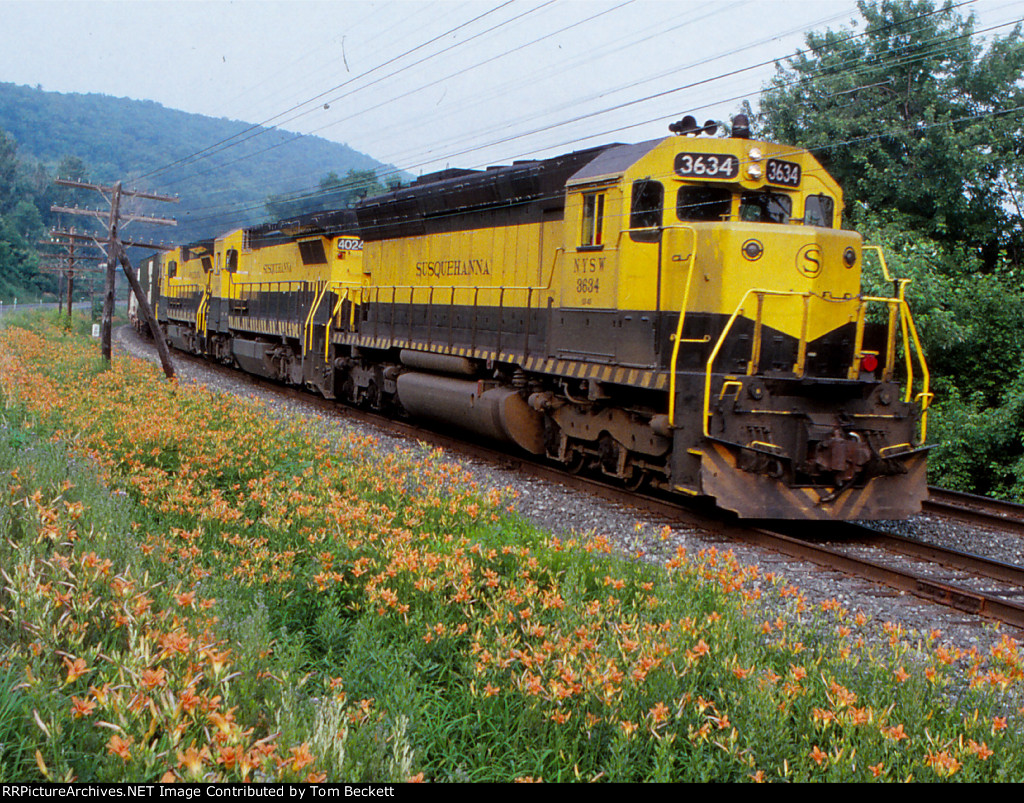 Yellowjackets and flowers